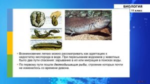 11-класс | Биология |   Исторические развитие органического мира на Земле