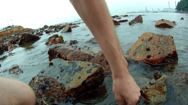 морские ежи смотреть онлайн