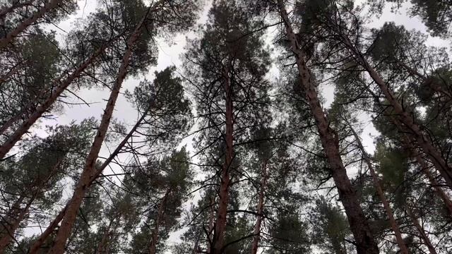 VLOG// МЫ НАШЛИ ИХ ? смотреть онлайн