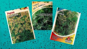 Укроп 3 сортов. Зонтик, Без зонта и Иней.