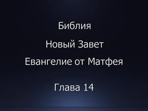 Библия. Новый Завет. Евангелие от Матфея, глава 14.