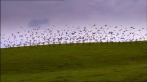 The Magical Legend Of The Leprechauns Trailer