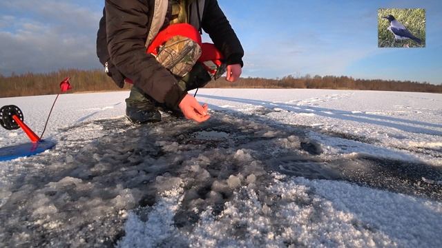 Рыбалка на жерлицы. Первые загары, первые щуки и эмоции этого сезона. Рыбалка с Денчиком. Раглицы.