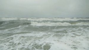 Шторм | Зеленоградск | 2.01.2019