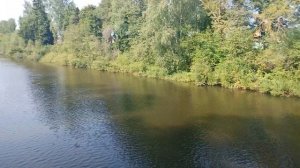 Мост через реку Колпь в Бабаево.