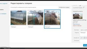 Как вставить фотогалерею на сайт в Wordpress