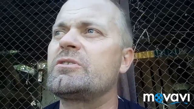 Перепродать или вырастить и продать? Что выгоднее для ЛПХ?