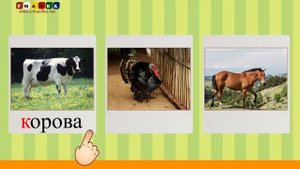 Алфавит русский Учим Буквы и Звуки с Кругляшиком - Буква И