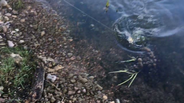 Лещ на ангарский настрой. 18+ смотреть онлайн