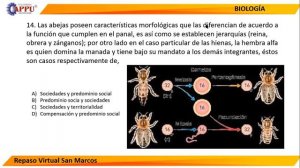 TEMA 8 ECOLOGÍA BIOLOGÍA (R,SM)