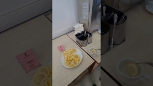 Санаторий Коралл Адлер