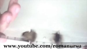 Как сделать мини вертолёт дома