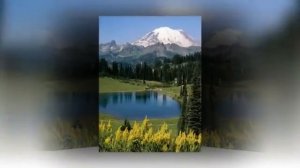 Максим Леонидов - Мир для Марии