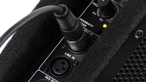 EUROLIVE F1220D Bi-Amped 250-Watt Monitor Speaker System