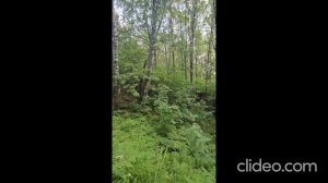 Акт осмотра ЗУ :1830-2025 июль