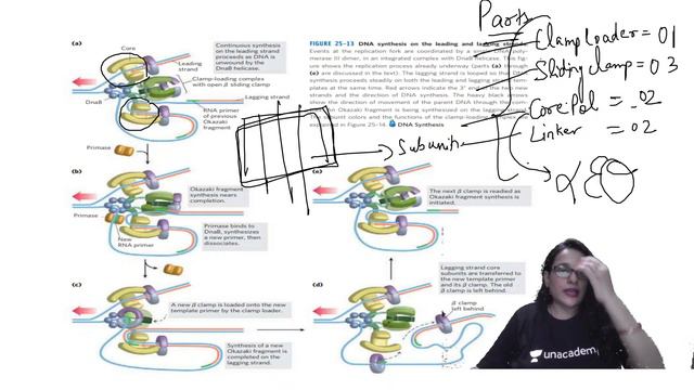 Revision & Doubt Clearing of Replication in Prokaryotes (L-9) | 🎯for CSIR NET2021 by Shail Jha