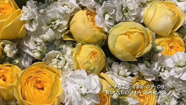 Песня для мужа/х1усам да😍 смотреть онлайн