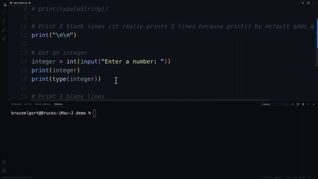 The Python input Function