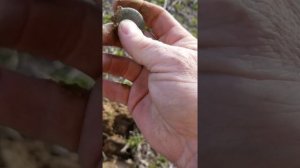 Metal Detecting.  Found 1800's Diamond Pendant Part 1