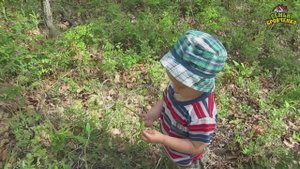 Передаем опыт детям (наука выживать) ч.1. SOS, змеи, счет и др.... (06.16г.)