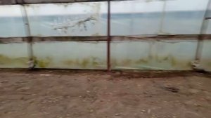 Обзор отапливаемых балаганов для получения раннего урожая. Видео 2