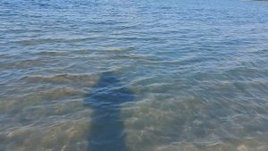 23 августа 2022г. Озеро "Большой Шантропай" (Еткульский район, Челябинская область).