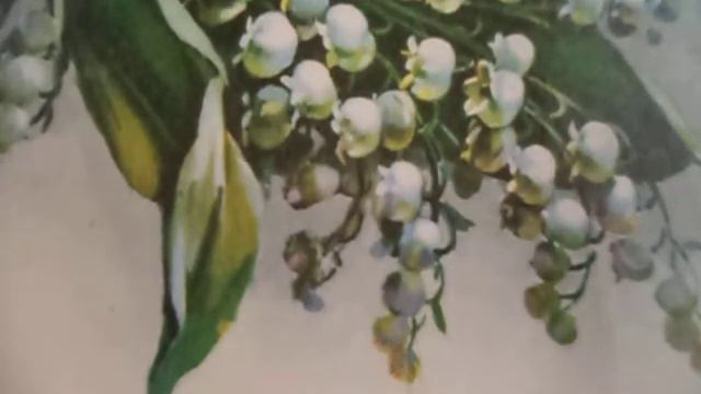 Ты грустишь(Ну, что мне сделать, как помочь тебе его забыть?)наброски)