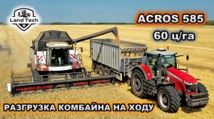 ПРАВИЛЬНАЯ УБОРКА УРОЖАЯ: комбайны ACROS 585 и 550 выгружаются на ходу! Озимая пшеница 60 ц/га!