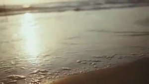 Ванесса Мэй.