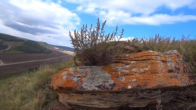 №6 Поход. Поймали змею на приманку! Гора Змеиная с ночевкой. Красивый закат и ночная сова?! смотреть онлайн