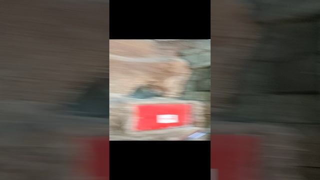 океанариум экзотариум тропическая амазонка сочи лазаревское лазаревка лазаревский краснодарский край