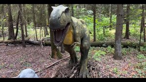 Этномир Калужская область Калуга что посмотреть