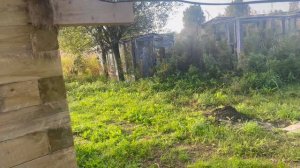 Переезжаем из города в деревню. Видеоприветствие