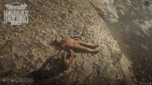 СТРАНА ВЕЧНОЙ ОХОТЫ / kntmr_games