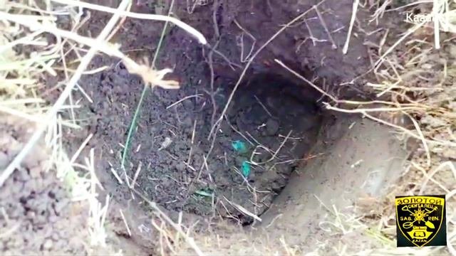 Группа Золотой Скиталец.Клад.