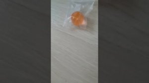 Выращиваем Арбизы !