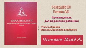 45. Красная книга ВДА. Раздел III. Путеводитель для взрослого ребенка. Читает Влад А.