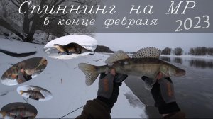 Зимняя рыбалка со спиннингом. Москва-река. Увидел речную выдру.