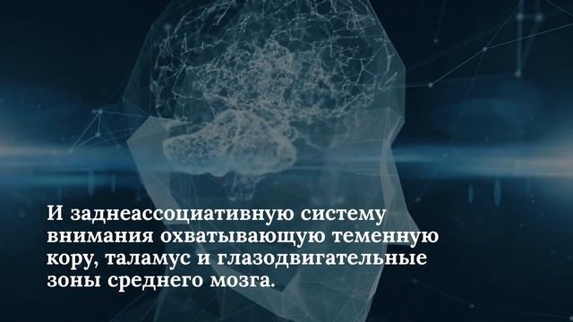 Нарушения внимания - Основы психопатологии