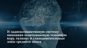 Нарушения внимания - Основы психопатологии