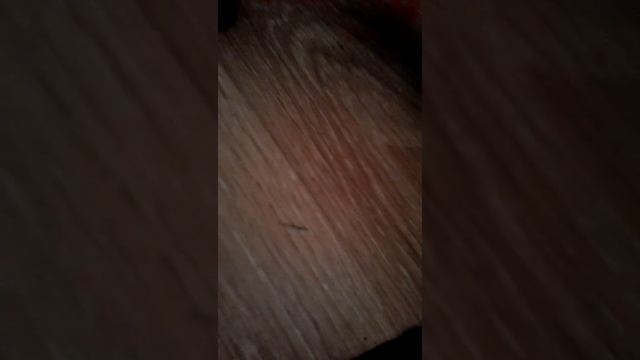 Как убрать супер жидкого лизуна смотреть онлайн