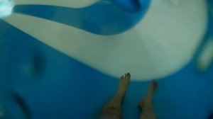 База отдыха Политотдел