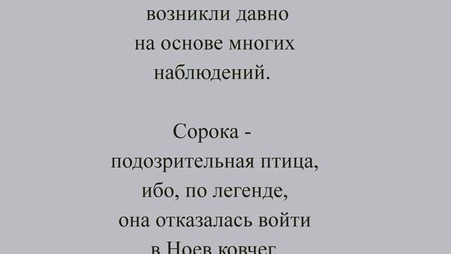СОРОКА Приметы про сороку