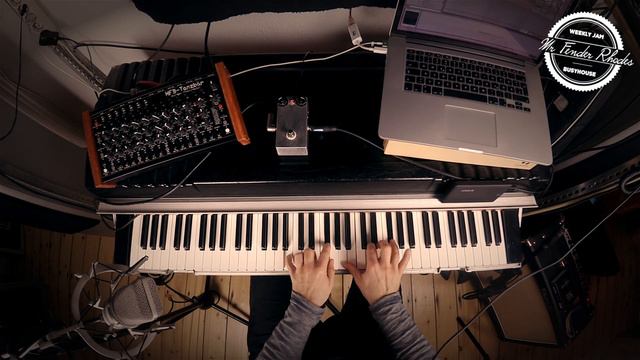 Deep House with Fender Rhodes 130bpm video mrfenderrhodes.com смотреть онлайн