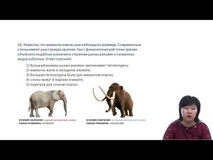 Взаимодействие организмов со средой