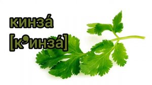 Как произносится кинза по-русски