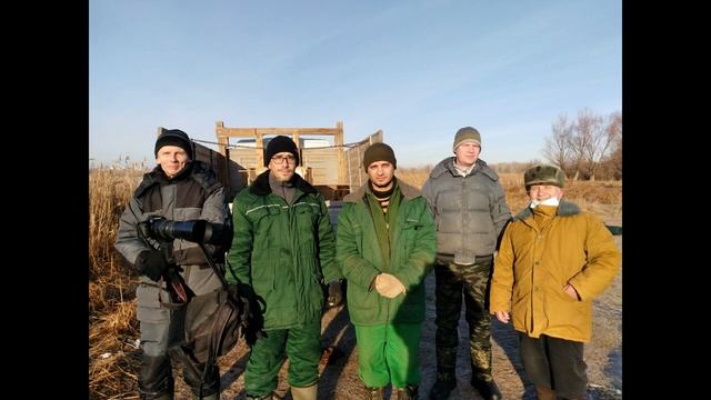 Лебединое озеро Рубежное - Лебединая верность смотреть онлайн