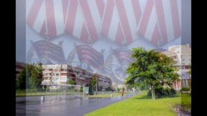 г. Пушкин_Улица Героя Ивана Васильевича Хазова