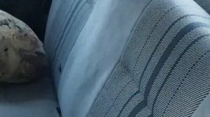 Мой Опель Аскона 1.8i gt/sport 1986 г.в. Редкий автомобиль.