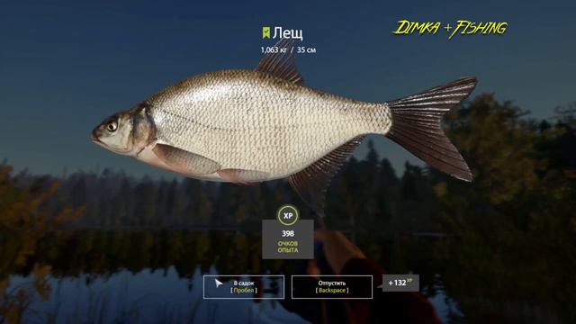 Русская рыбалка 4. 🎣 оз. Старый Острог 🐟🐠💦 ЛОВЛЯ на ФИДЕР от LATORSO 👀 смотреть онлайн